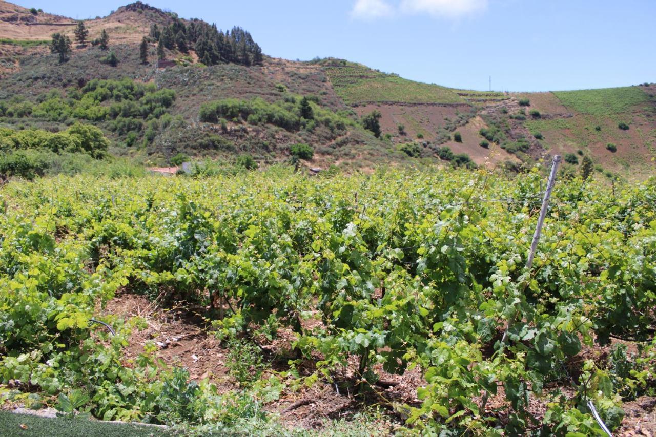 Finca El Cole Villa Las Palmas de Gran Canaria Luaran gambar
