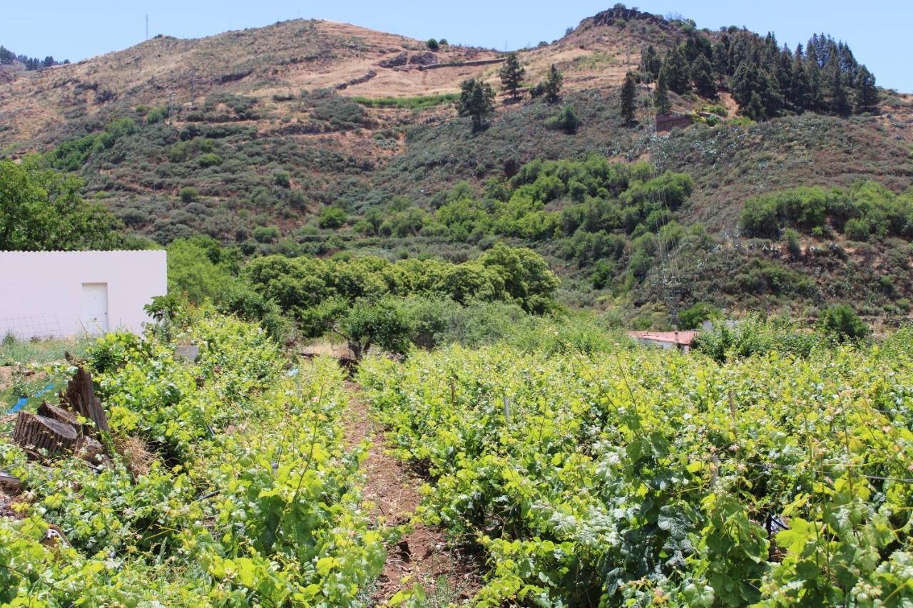 Finca El Cole Villa Las Palmas de Gran Canaria Luaran gambar