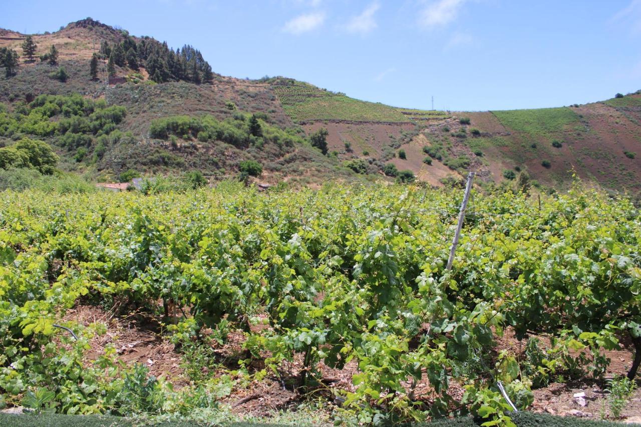 Finca El Cole Villa Las Palmas de Gran Canaria Luaran gambar